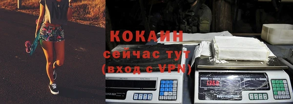 индика Абаза