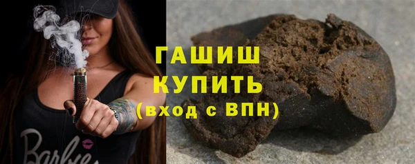 индика Абаза