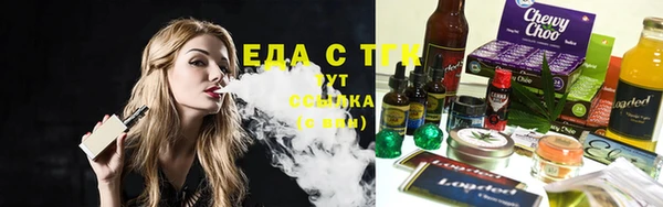 индика Абаза