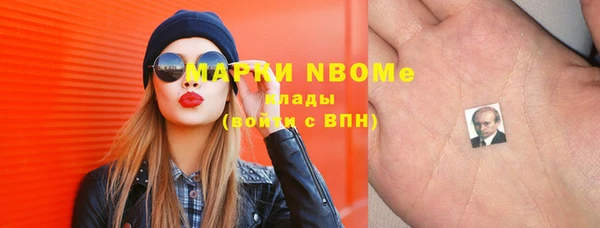 индика Абаза