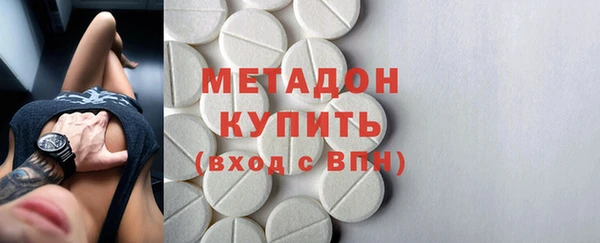 индика Абаза