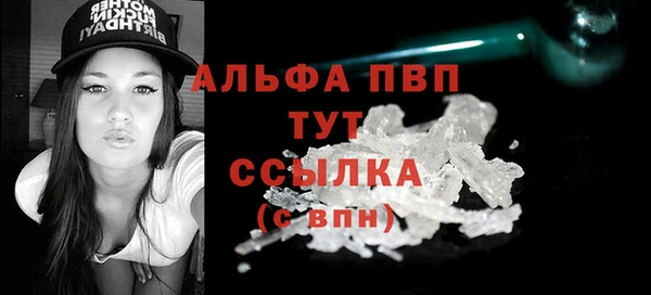 индика Абаза