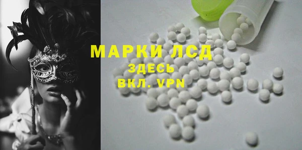 индика Абаза