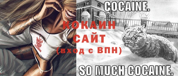 индика Абаза