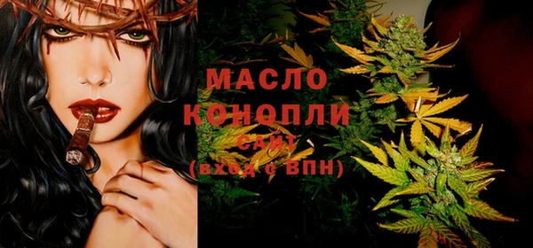 индика Абаза