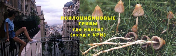 индика Абаза