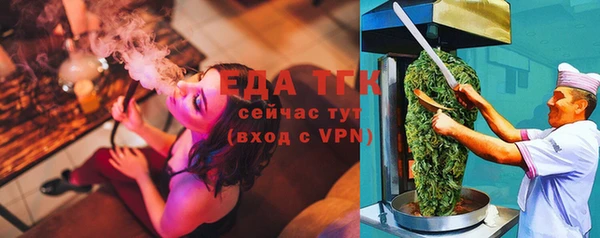 индика Абаза