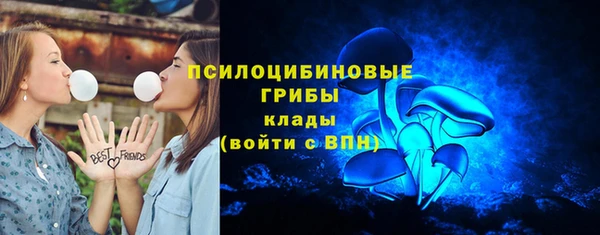 индика Абаза