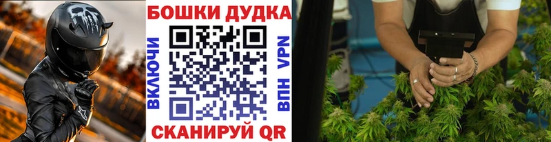 Бошки Шишки Bruce Banner  купить наркотик  Ленинградская 